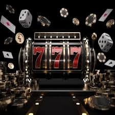 28winvn
